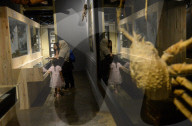 Bogor Zoological Museum In Indonesia