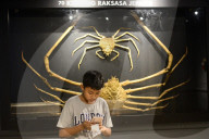 Bogor Zoological Museum In Indonesia