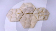 Insulating tiles made from fungi, inspired by elephants
