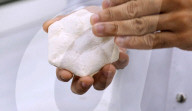 Insulating tiles made from fungi, inspired by elephants