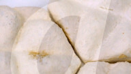 Insulating tiles made from fungi, inspired by elephants
