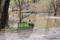 Ohio Valley Flooding