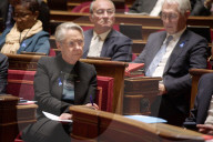 Session Of Question To The French Government  At The Senate