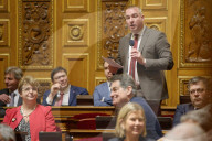 Session Of Question To The French Government  At The Senate