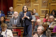Session Of Question To The French Government  At The Senate