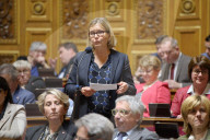 Session Of Question To The French Government  At The Senate