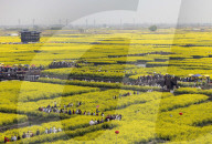 Spring Tour in Xinghua