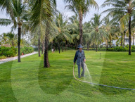 Gardener Watering A Beach Resort Lawn Under Palm Trees In Phu Quoc