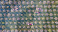 Hongze Lake Wetland Tour in Suqian