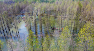 Hongze Lake Wetland Tour in Suqian
