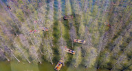 Hongze Lake Wetland Tour in Suqian