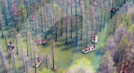 Hongze Lake Wetland Tour in Suqian