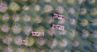 Hongze Lake Wetland Tour in Suqian