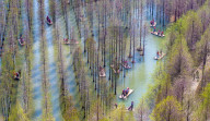 Hongze Lake Wetland Tour in Suqian