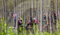 Hongze Lake Wetland Tour in Suqian
