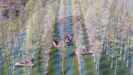 Hongze Lake Wetland Tour in Suqian