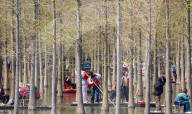 Hongze Lake Wetland Tour in Suqian