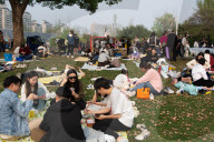 Spring In Shanghai