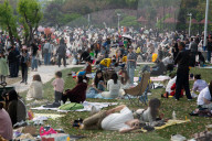 Spring In Shanghai