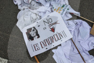 Madrid Doctors Protest Against The Spanish Government's Ministry Of Health