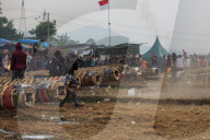 Residents Fire Traditional Cannons At Kuluwung Festival In Indonesia