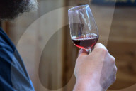 Wine Fair In Andrezieux
