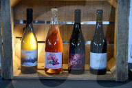 Wine Fair In Andrezieux