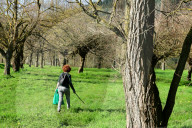 Litter Collection Day In Doizieux, France