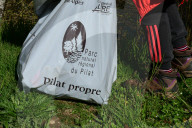 Litter Collection Day In Doizieux, France