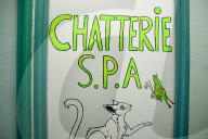Animals For Adoption At The Saint-Etienne Animal Protection Society