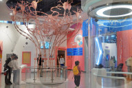 Chinese Citizens Scientific Literacy