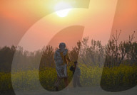 Arrival Of Spring In Kashmir 