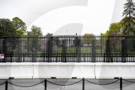 Protests Around The Washington DC 