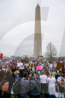 Thousands Gather To Protest Donald Trump In Washington D.C.