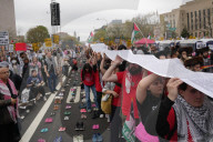 Gaza Protesters March In Washington DC