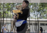 Animal Surveillance Brigade In Mexico Organizes Adopt-A-Thon For International Street Animal Day