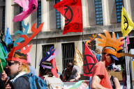 Demonstration Against Pesticides