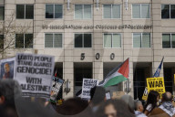 Pro-Palestine Protest In Washington DC