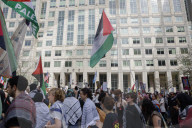 Pro-Palestine Protest In Washington DC