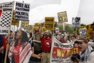 Pro-Palestine Protest In Washington DC