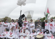 March On Washington: Pro-Palestine Protest Take Place In DC