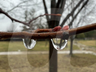 Rainy Day In Toronto, Canada