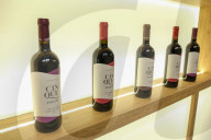 57th Edition of Vinitaly