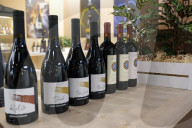 57th Edition of Vinitaly