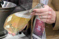 57th Edition of Vinitaly