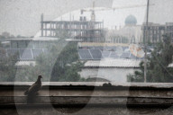 Daily Life In Tashkent