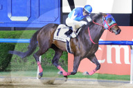 2025 Dubai World Cup horse race