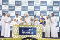2025 Dubai World Cup horse race