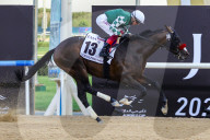 2025 Dubai World Cup horse race