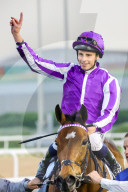 2025 Dubai World Cup horse race